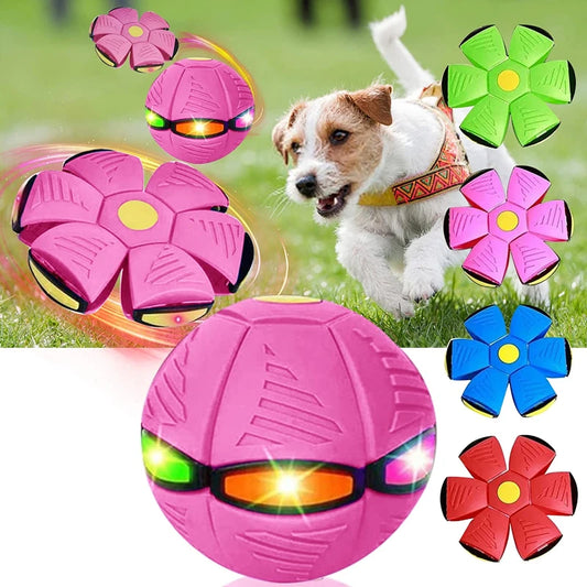 MagicFly Disc™